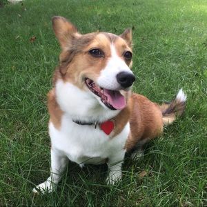 Meet your Posher, Claire